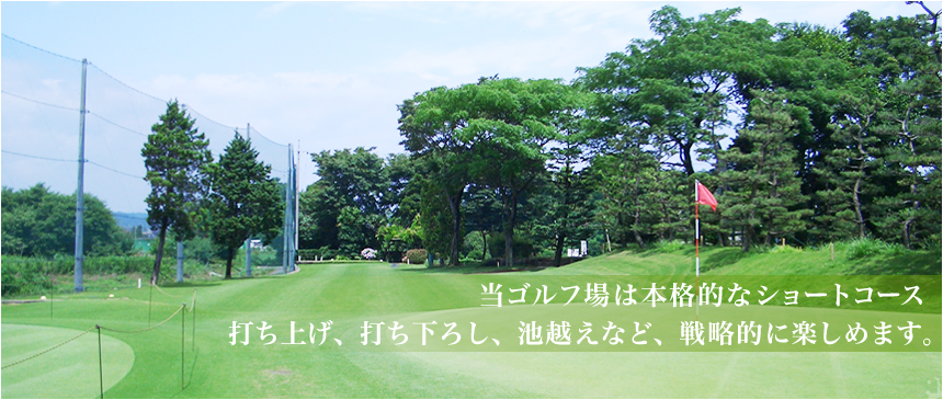 神奈川県相模原市の田名バーディーゴルフ。本格的なショートコースで戦略的に楽しめます。
